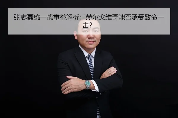 张志磊统一战重拳解析：赫尔戈维奇能否承受致命一击？