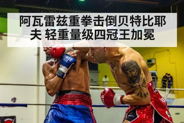 阿瓦雷兹重拳击倒贝特比耶夫 轻重量级四冠王加冕