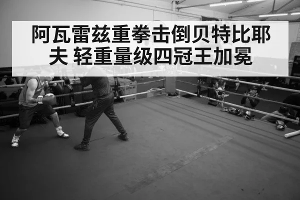 boxer training gym